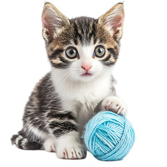 Cute kitten playing with yarn ball (2)