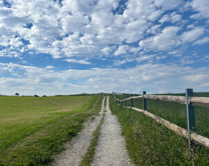 Fototapeta premium A dirt path lined with wooden fences cuts through green fields under a vibrant blue sky. Fluffy clouds add depth, creating a serene, pastoral landscape.