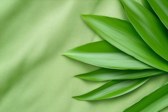 Subtle green background with faint vertical lines, adding a touch of sophistication and modernity