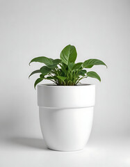 Self-watering flower pot with a built-in reservoir on a white background.