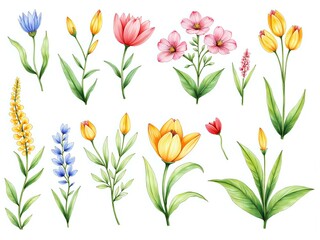 Vibrant floral illustration featuring a variety of colorful flowers
