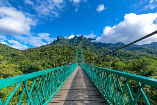 Suspension bridge in rainforest, Quindio botanical garden, Calarca, Quindio region, Colombia South America