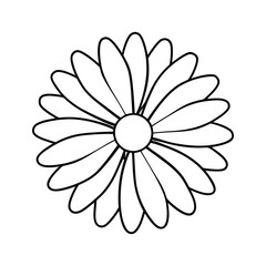 A clip art of daisy flower outline on white background