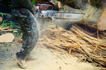 Obraz premium Heavy rain and strong winds caused large trees to fall and block traffic. Officers cleared the area.