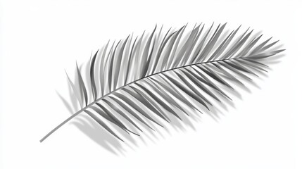 Detailed depiction of a palm leaf showcasing intricate textures and shadows in a minimalist composition