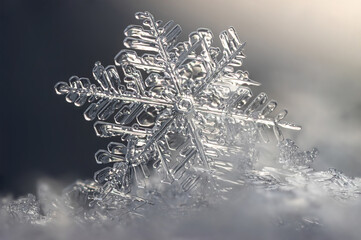 Snowflake in the snow close-up macro, shallow depth of field