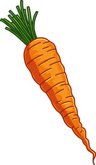 Vegetable Orange Carrots Icon