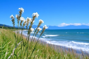 Obraz premium A close-up of tall grass and white flowers on the beach, with waves crashing in the background and mountains visible across the horizon. The sky is a clear blue with soft sunlight casting gentle