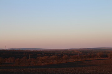A field with trees and a blue sky