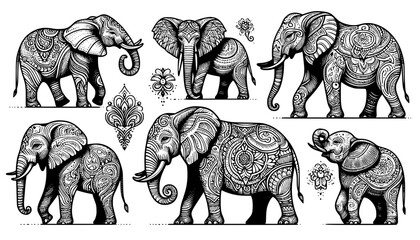 wild animals collection