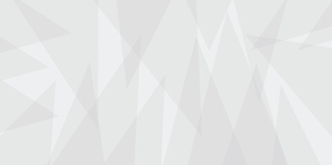 Abstract white and gray line background design. abstract white and grey on light silver background modern design. Low poly vector illustration. triangle pattern gradient background.
