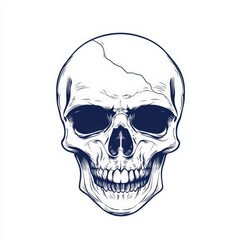 Fototapeta premium Detailed Skull Illustration, symbolizing mortality and the human condition. Ideal for art, medical themes, gothic designs, and anatomical studies.