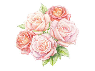 Fototapeta premium A bouquet of several detailed roses in various shades of pink and peach, rendered in colored pencil, PNG transparent