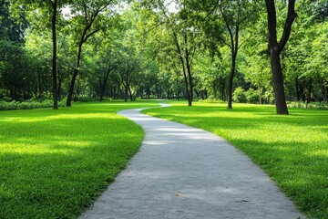 Fototapeta premium A wide park with trees and grass, a clear sky, and an empty road leading into the distance. The green landscape is lush and vibrant, creating a serene atmosphere that evokes tranquility and