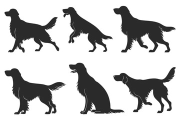 set of Irish Setter Dog silhouette vector illustration