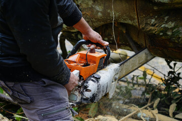 Heavy rain and strong winds caused large trees to fall and block traffic. Officers cleared the area.