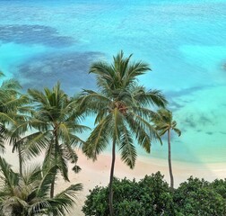 A stunning tropical beach in the Maldives, featuring white sand, turquoise waters, and palm trees
