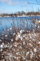An der Alster in Hamburg im Winter in Hamburg mit viel Schnee und Schneeflocken in der Luft

