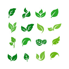 Green leaf icons set. Leaves icon on isolated background. Collection green leaf. Elements design for natural, eco, vegan, bio labels. Vector illustration.
