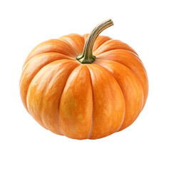Obraz premium A small pumpkin with smooth orange skin and a round shape, placed on an isolated white background, in a hyper-realistic style with soft studio lighting, highlighting its natural texture and vibrant