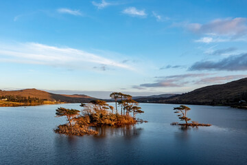 Dreamy Connemara landscape: a small tree-filled island on Lough Bofin, framed by evening skies. Ireland