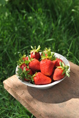 Bowl with ripe juicy strawberries on a green background.Summer berries in the garden.
