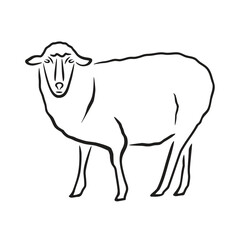 Stylized brushstroke sheep illustration isolated