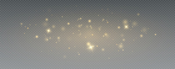 Bokeh light effect background, christmas gold dust, festive glitter dust for banners, cards, advertisement. Christmas glowing dust background png, vector.	
