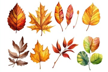 A set of watercolor autumn leaves in warm colors, various species, isolated