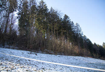 Winter Morning in the Forest. A serene winter landscape featuring a snow-dusted field leading to a...