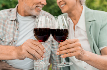 Cropped image of joyful senior couple spouses travelers husband and wife toasting with glasses of red wine celebrating sitting on the blanket grass in park garden yard outside outdoor