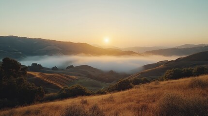 Obraz premium Golden sunrise illuminates rolling hills and fog in serene landscape at early morning