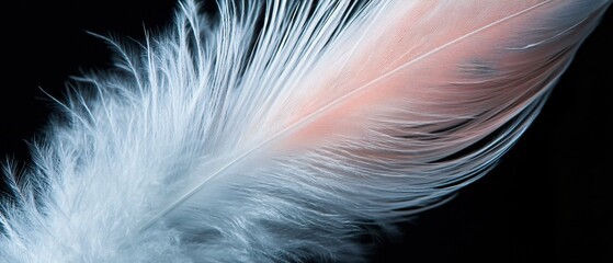 Obraz premium Detailed Close-up Image of a White and Pink Bird Feather