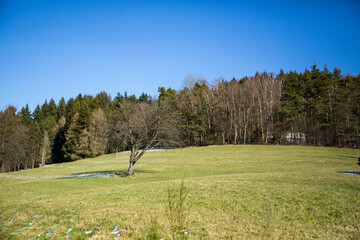 Rolling Hills and Green Fields Under a Clear Sky. A stunning countryside landscape featuring...
