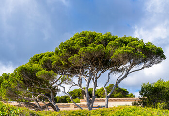 Landschaft und Küstengebiet im Norden Mallorcas, Cala Rajada, Balearen,. Spanien