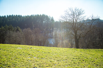 Rolling Hills and Green Fields Under a Clear Sky. A stunning countryside landscape featuring...