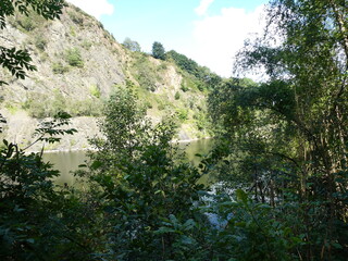 Serene Lake Surrounded by Trees