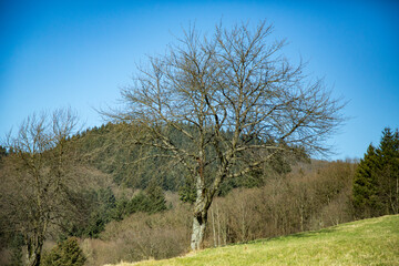 Rolling Hills and Green Fields Under a Clear Sky. A stunning countryside landscape featuring...