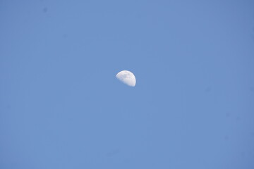 A luminous half-moon hangs in a vast, clear sky, casting a soft glow, serene and silent against the endless blue.