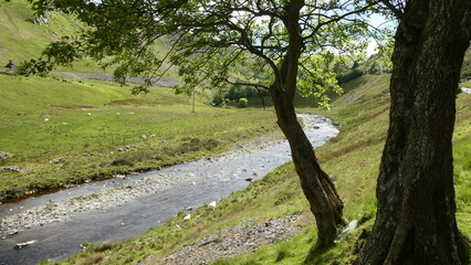 Serene River in Valley