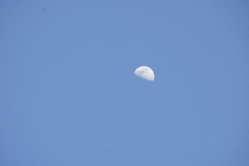 A luminous half-moon hangs in a vast, clear sky, casting a soft glow, serene and silent against the endless blue.