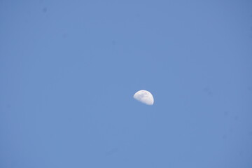 A luminous half-moon hangs in a vast, clear sky, casting a soft glow, serene and silent against the endless blue.