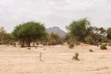 Landschaft im Tschad