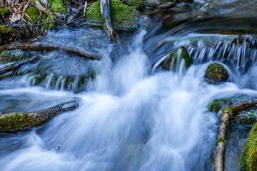 waterfall in the forest