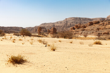 Landschaft im Ennedi-Gebirge