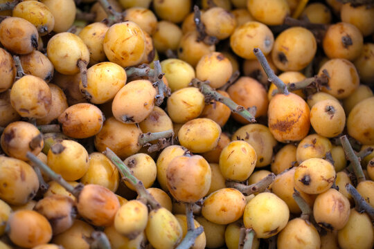 Closeup of Loquat fruit (Nispero) on a market stall in Madeira