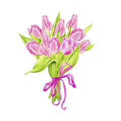 Fototapeta premium Bouquet of pink watercolor tulips with ribbon. Composition for cards, posters, invitations. Spring, Mother's Day, Women's Day, Birthday. Hand drawn illustration isolated on transparent background.