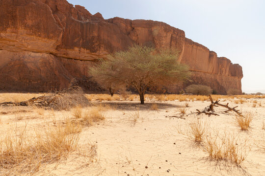 Landschaft im Ennedi-Gebirge