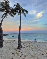 A peaceful beach in Phuket, Thailand, with golden sunset hues reflecting over the sea and palm trees
