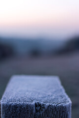 Frosty morning close ups.